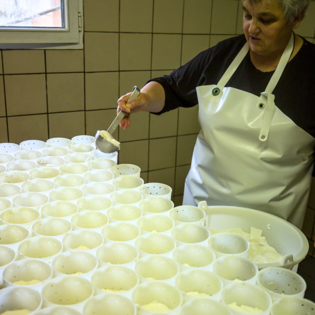 Fabrication de fromages de chèvre