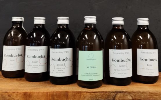 vertus du kombucha