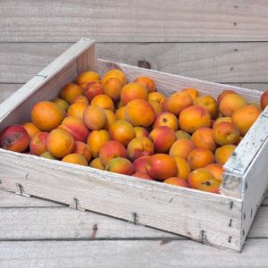 Abricot "confiture" / 5kg