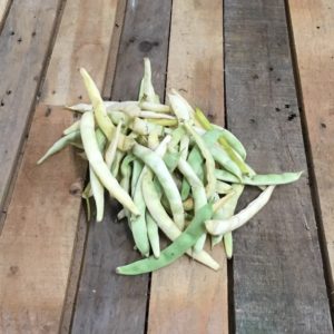 Haricot demi-sec Coco