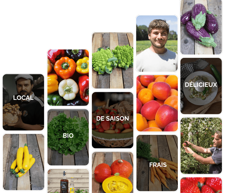 Panier pèse-légumes fruits et légumes rouge, vert ou noir