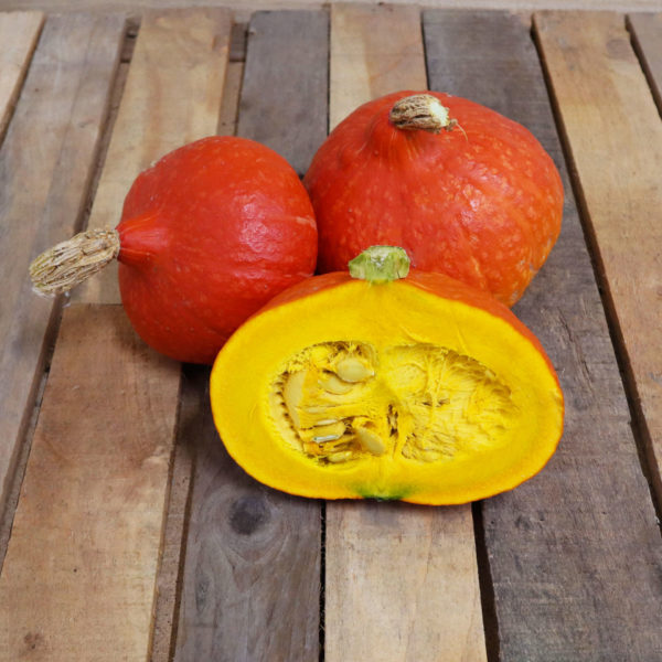 Courge Potimarron "déclassée"