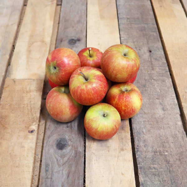 Pomme Ariane