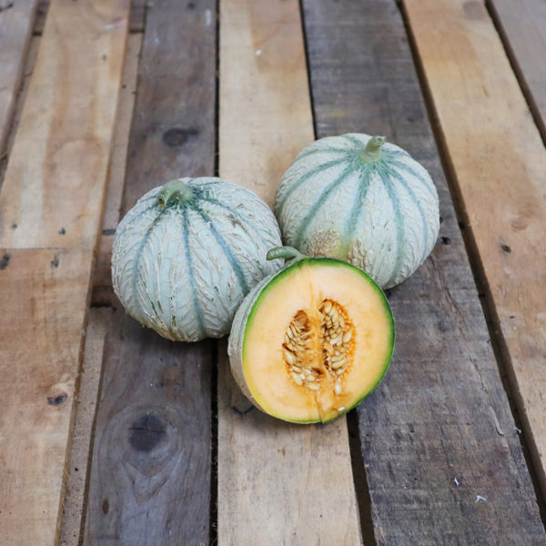 Melon x2