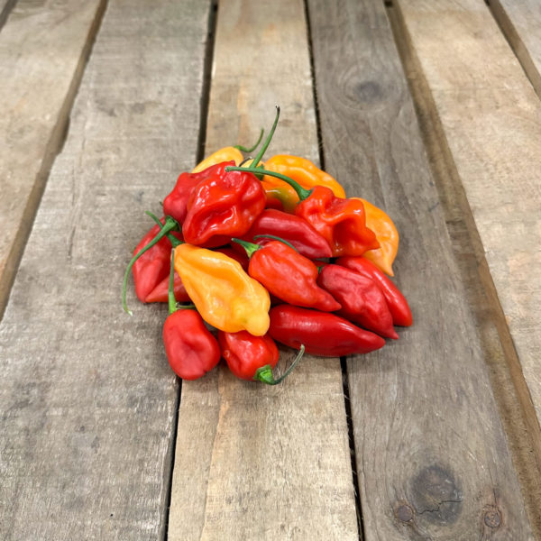 Piment Habanero