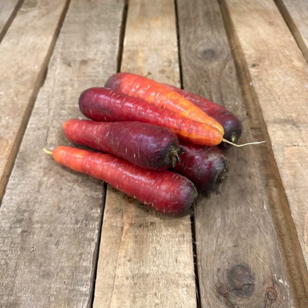 Carotte rouge