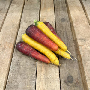Carotte "couleur"