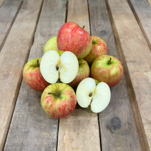 Pomme Reinette d'Angleterre