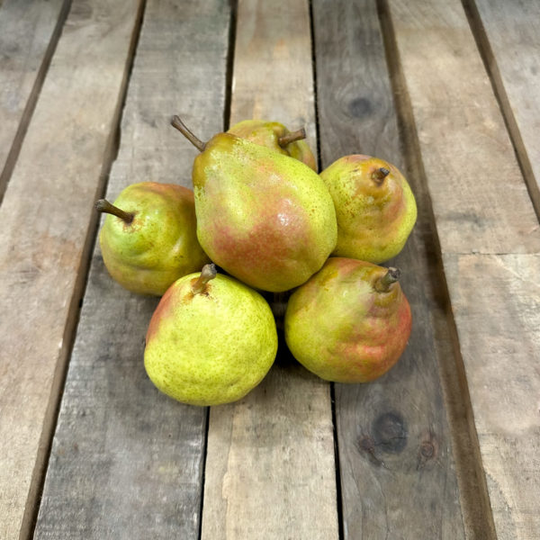 Poire Harovin Sundown