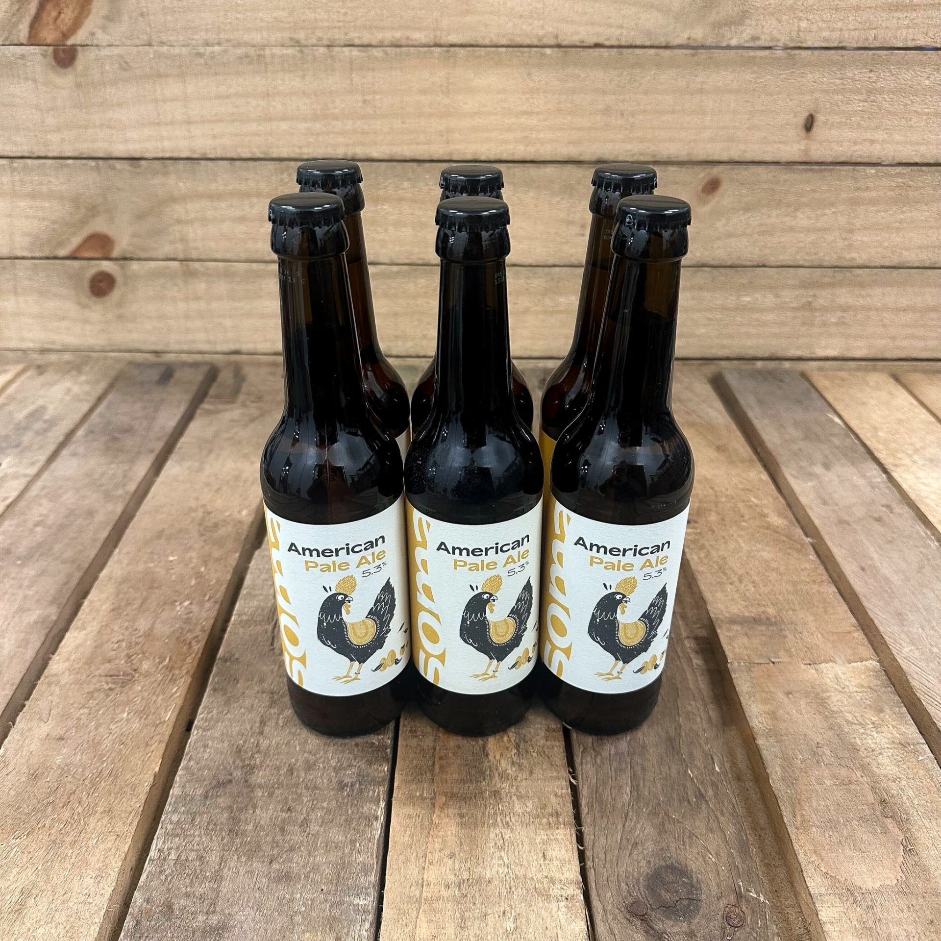 Bière American Pale Ale / 33cl X6