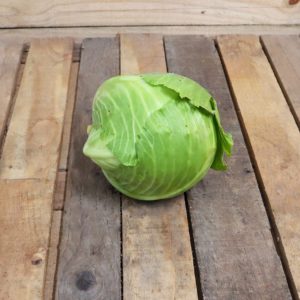 Chou lisse "nouveau"