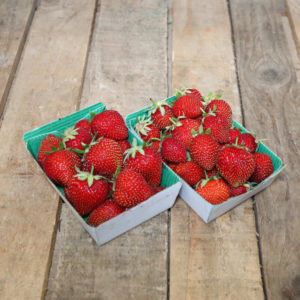 Fraise / Lot de 2 barquettes (250g)