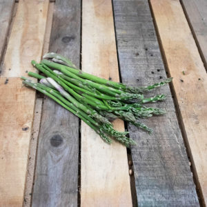 Asperge verte