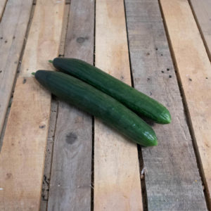 Concombre long x2