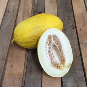 Melon Canari