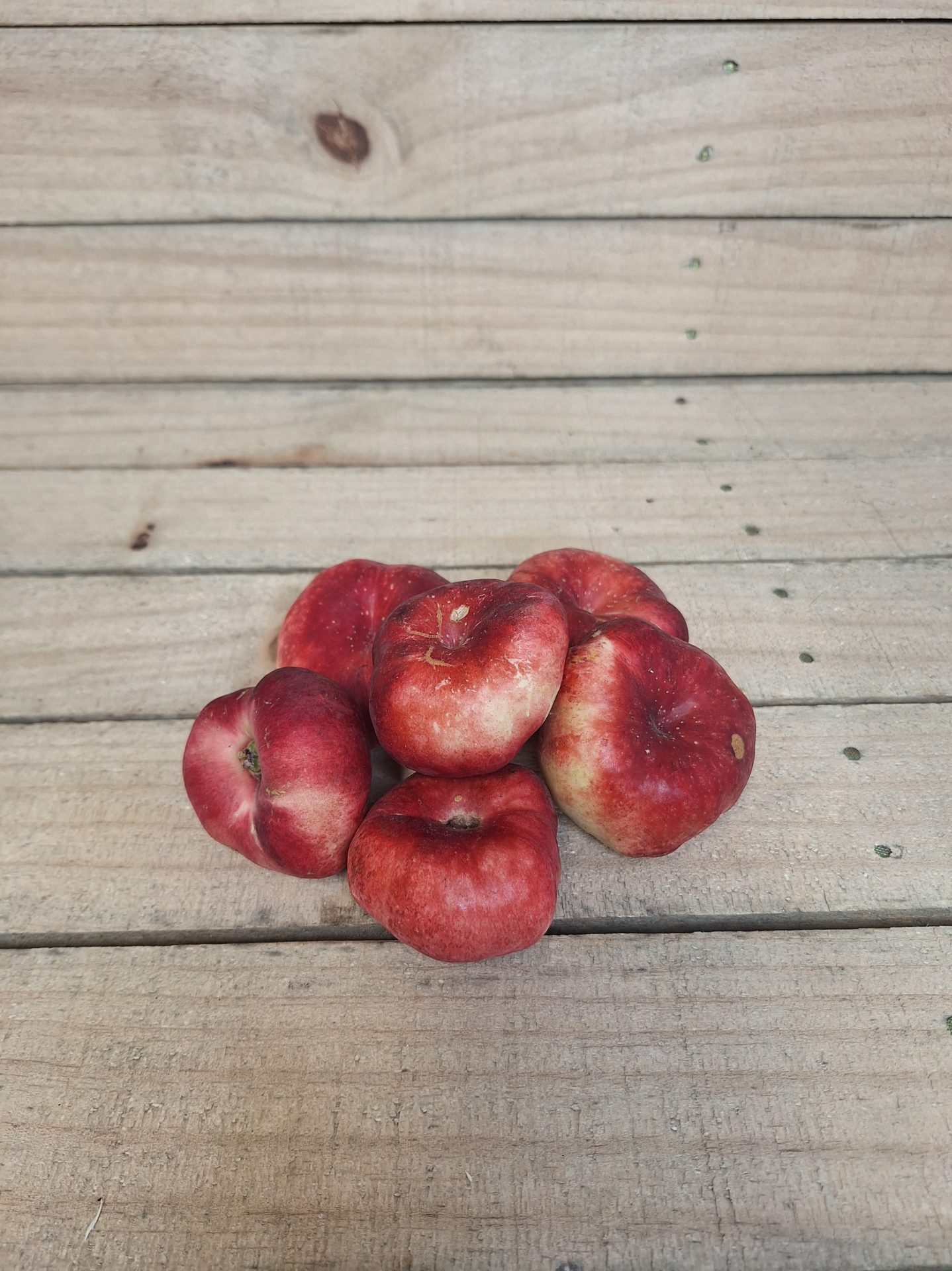 Nectarine plate