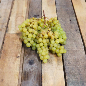 Raisin Exalta "sans pépins"