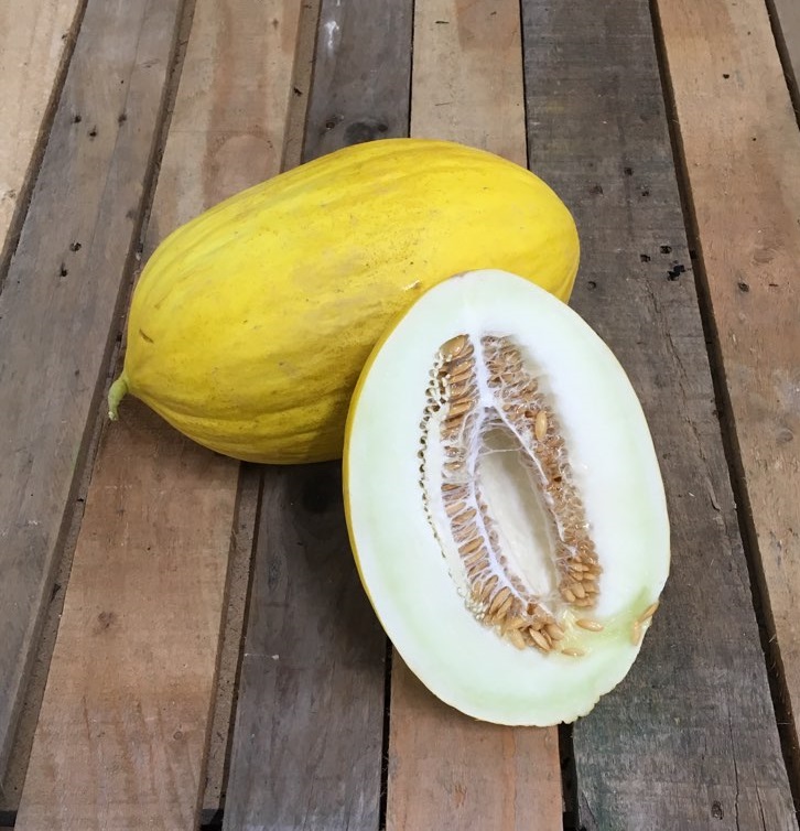 Melon Canari
