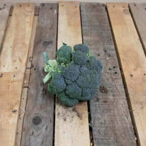 Brocoli