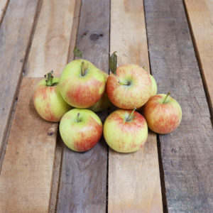 Pomme Delbar Estivale