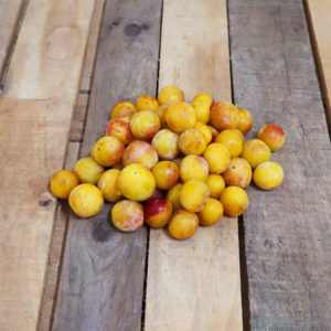 Prune Mirabelle