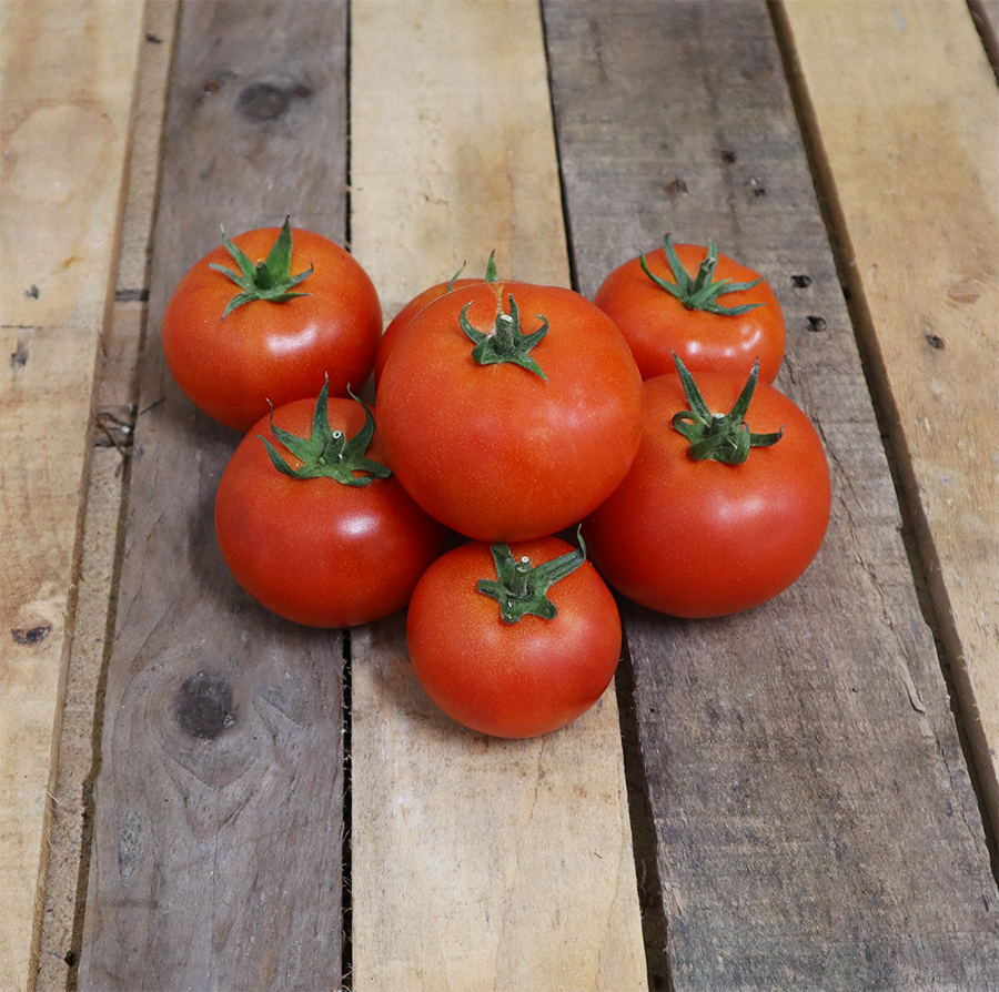 Tomate ronde