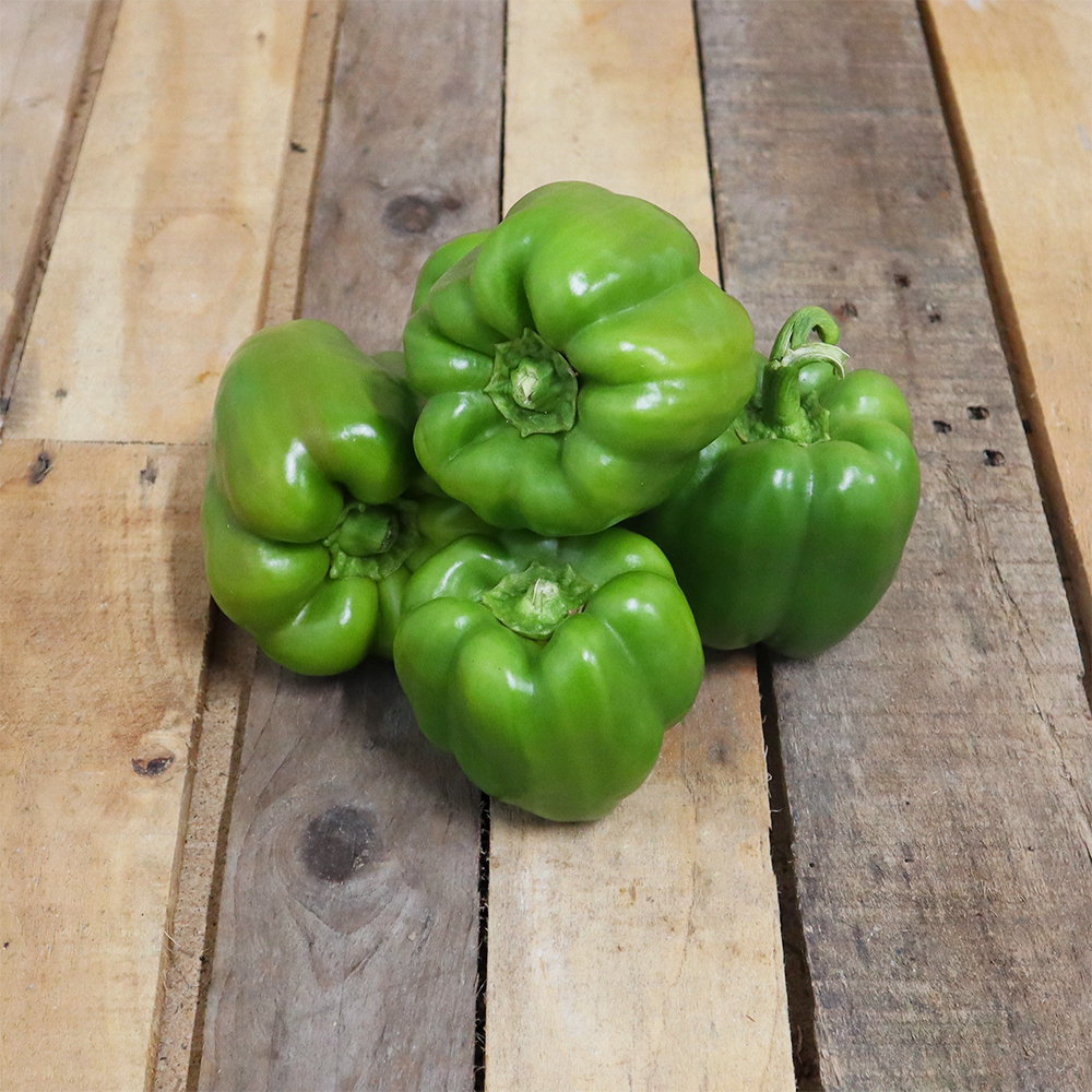 Poivron vert