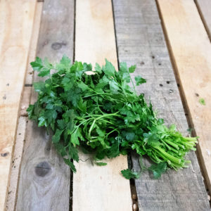 Persil plat