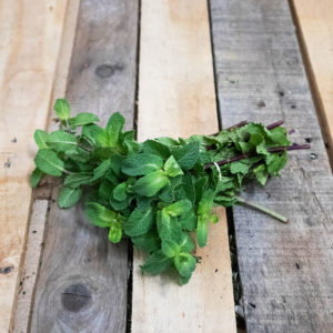 Menthe