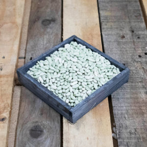 Flageolets / 250g