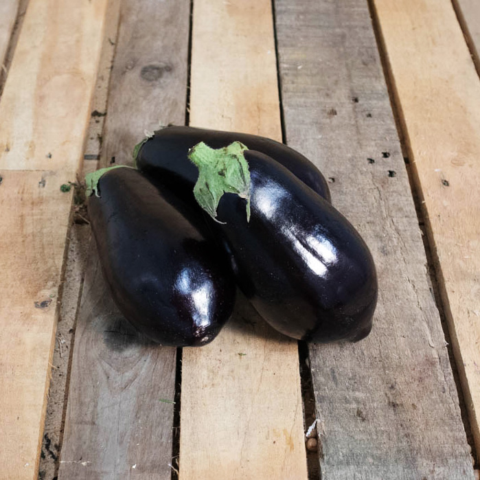 Aubergine noire