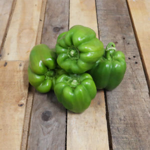 Poivron vert