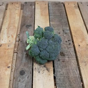 Brocoli