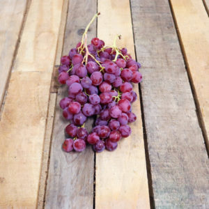 Raisin Red Globe