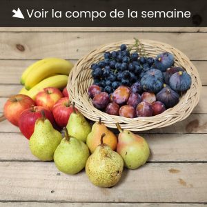Panier de fruits - S