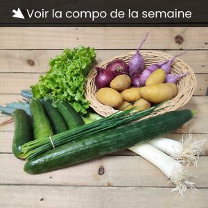Panier de légumes - L